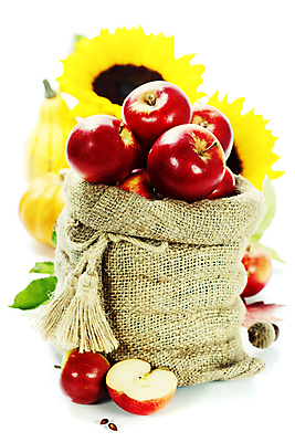 포토 JPG 해외이미지 해바라기 실내 사람없음 가을 신선 사과 흰배경 담기 자루 반쪽사과 사과반쪽 해외202004 해외포토 계절 꽃 백그라운드 과일 모션 내부 흰색 파일형식