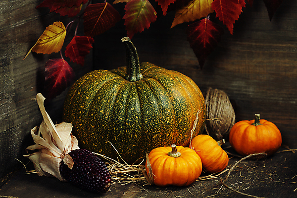 포토 JPG 해외이미지 낙엽 호박 실내 사람없음 농작물 가을 볏짚 흑찰옥수수 해외202004 해외포토 계절 잎 농업 채소 내부 짚 찰옥수수 파일형식