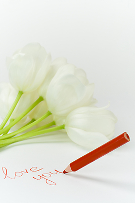 포토 JPG 해외이미지 종이 사람없음 튤립 메시지 흰배경 빨간펜 해외202004 해외포토 꽃 백그라운드 펜 흰색 파일형식