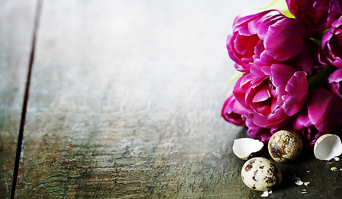 포토 JPG 해외이미지 탁자 부활절 사람없음 튤립 메추리알 카피스페이스 나무배경 해외202004 해외포토 기념일 꽃 가구 백그라운드 알 공백 파일형식