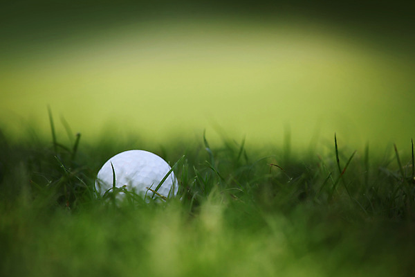 포토 JPG 해외이미지 스포츠 백그라운드 밭 골프 공 골프장 골프공 사람없음 초록색 게임 흰색 거친 강의 묘사 내추럴 페어웨이 해외202004 해외202105 해외포토 컬러 농업 스포츠시설 놀이 골프용품 구기 파일형식