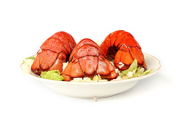 포토 JPG 해외이미지 접시 요리 사람없음 신선 바닷가재 해산물 흰배경 꼬리 해외202004 해외202105 해외포토 식기 백그라운드 흰색 가재 파일형식