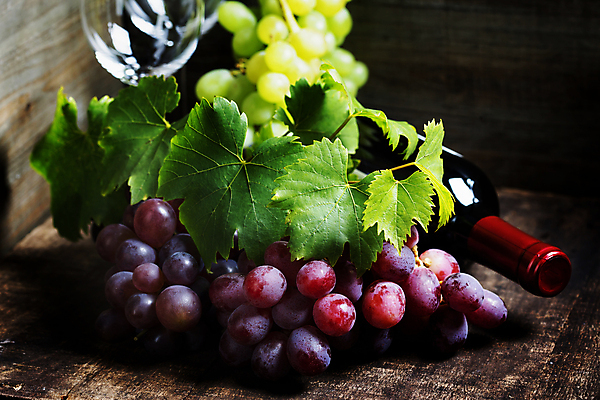 포토 JPG 해외이미지 와인잔 포도 사람없음 와인 와인병 나무바닥 포도잎 카피스페이스 해외202004 해외포토 잎 술잔 과일 병_용기 바닥 주류 공백 파일형식