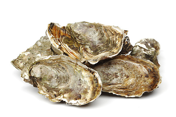 포토 JPG 해외이미지 식재료 실내 사람없음 쌓기 굴 신선 흰배경 해외202004 해외202105 해외포토 백그라운드 모션 어패류 내부 흰색 파일형식