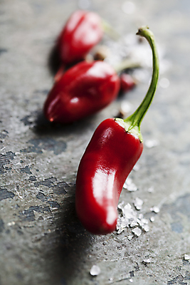 포토 JPG 해외이미지 식재료 사람없음 세개 매움 나무바닥 홍고추 소금 해외202004 해외포토 고추 바닥 3 맛 파일형식