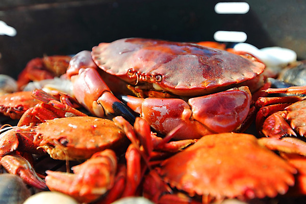 포토 JPG 해외이미지 사람없음 게 신선 그릴 바비큐 굽기 해산물 집게발 해외202004 해외202105 해외포토 음식 주방용품 갑각류 구이 파일형식