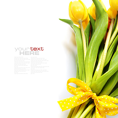 포토 JPG 해외이미지 리본 꽃다발 실내 타이포그라피 사람없음 튤립 흰배경 카피스페이스 해외202004 해외포토 문자 꽃 백그라운드 내부 공백 흰색 파일형식