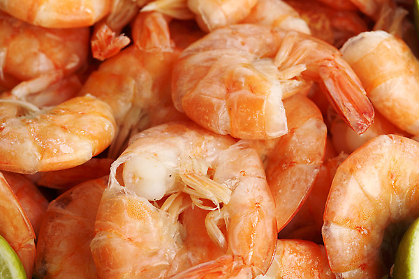 포토 JPG 해외이미지 새우 근접촬영 사람없음 가득함 해산물 해외202004 해외202105 해외포토 뷰포인트 갑각류 파일형식