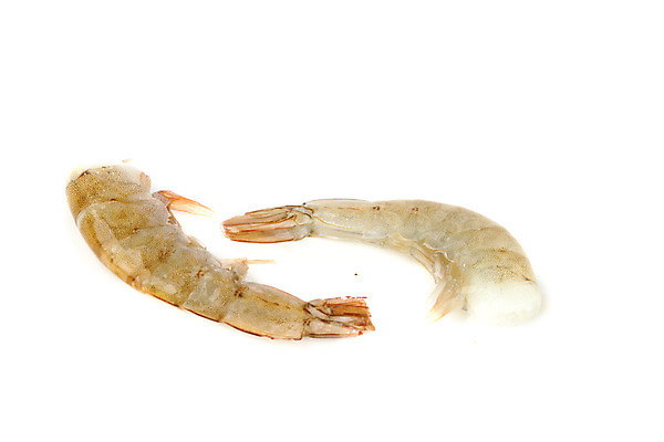 포토 JPG 해외이미지 새우 사람없음 신선 해산물 흰배경 해외202004 해외202105 해외포토 백그라운드 갑각류 흰색 파일형식