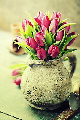 포토 JPG 해외이미지 화분 꽃다발 실내 사람없음 꽃병 튤립 모종삽 해외202004 해외포토 꽃 내부 삽 파일형식