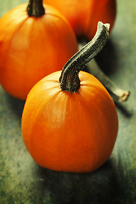 포토 JPG 해외이미지 호박 실내 사람없음 농작물 가을 세개 해외202004 해외포토 계절 농업 채소 3 내부 파일형식