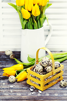 포토 JPG 해외이미지 꽃다발 부활절 실내 사람없음 바구니 꽃병 튤립 껍질 메추리알 나무탁자 해외202004 해외포토 기념일 꽃 탁자 내부 알 파일형식