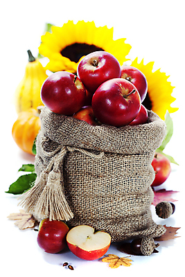 포토 JPG 해외이미지 해바라기 실내 사람없음 가을 신선 사과 흰배경 담기 자루 반쪽사과 사과반쪽 해외202004 해외포토 계절 꽃 백그라운드 과일 모션 내부 흰색 파일형식