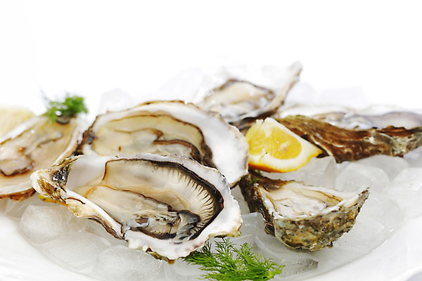 포토 JPG 해외이미지 식재료 실내 근접촬영 사람없음 아웃포커스 얼음 굴 신선 레몬 흰배경 해외202004 해외202105 해외포토 자연요소 뷰포인트 백그라운드 과일 어패류 촬영기법 내부 흰색 파일형식