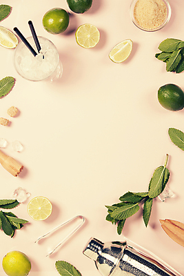 포토 JPG 해외이미지 프레임 집게 빨대 사람없음 하이앵글 얼음 설탕 민트 칵테일잔 라임 모히토 쉐이커 카피스페이스 분홍색배경 해외202004 해외포토 자연요소 뷰포인트 분홍색 백그라운드 술잔 과일 공백 칵테일 허브 파일형식