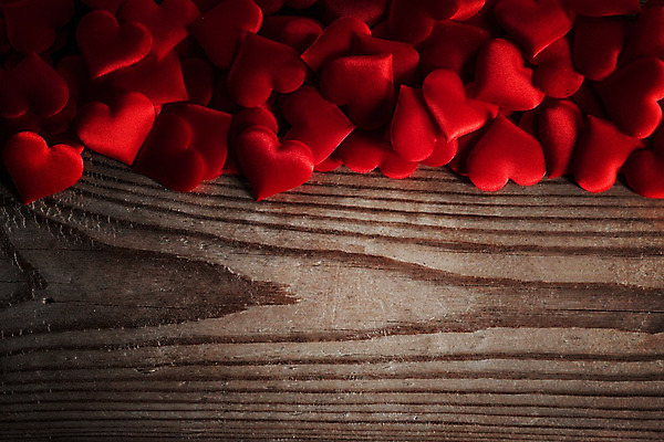 포토 JPG 해외이미지 사랑 사람없음 하트 많음 나무배경 해외202004 해외202105 해외포토 모양 감정 백그라운드 컨셉 파일형식