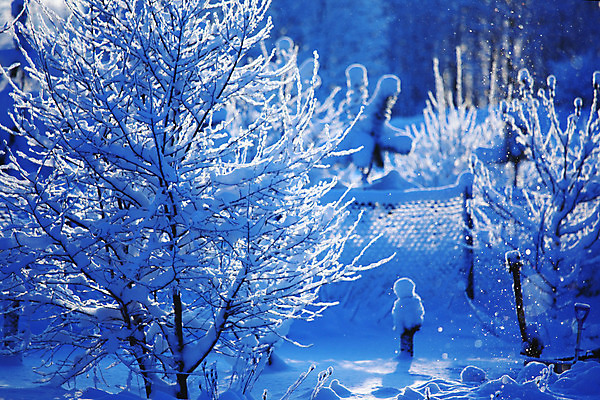 포토 JPG 해외이미지 나무 계절 백그라운드 크리스마스 겨울 자연 휴가 스키 산 그림자 풍경 사람없음 야외 가로 물 파란색 빛 햇빛 태양 일출 맑음 얼음 일몰 추위 덮개 흰색 나뭇가지 소나무 숲 시원함 12월 서리 장면 1월 눈내림 가문비나무 해외202004 해외202105 해외포토 자연요소 식물 기념일 컬러 날씨 겨울스포츠 눈_날씨 노을 뚜껑 날짜 생태계 파일형식