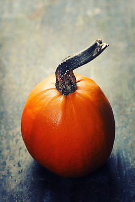 포토 JPG 해외이미지 호박 실내 사람없음 농작물 한개 가을 해외202004 해외포토 1 계절 농업 채소 내부 파일형식