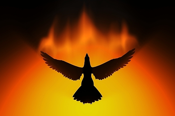 포토 JPG 해외이미지 벽지 따뜻함 요리 사람없음 검은색 뜨거움 닫기 더위 위험 모닥불 바비큐 소방관 혀 굽기 묘사 벽난로 매움 화재 상승 신화 마법 장례 봉황 엘리먼트 영원 점화 지옥 화상 해외202004 해외202105 해외포토 음식 컬러 컨셉 모션 불 날씨 입 맛 상처 구조원 소방 사건 구이 파일형식