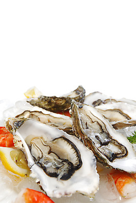 포토 JPG 해외이미지 식재료 새우 실내 근접촬영 사람없음 아웃포커스 얼음 굴 신선 레몬 흰배경 해외202004 해외202105 해외포토 자연요소 뷰포인트 백그라운드 과일 어패류 촬영기법 갑각류 내부 흰색 파일형식