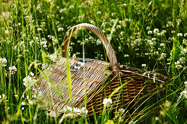 포토 JPG 해외이미지 나무 식물 1 공원 음료 음식 백그라운드 자연 유리 지팡이 넥타이 휴식 손잡이 사람없음 야외 빨간색 초록색 햇빛 태양 소풍 갈색 바구니 와인 봄 캠핑 낭만 금지 흰색 시골 직물 숲 컨테이너 담요 심볼 오브젝트 활 내추럴 해외202004 해외202105 해외포토 자연요소 잡화 계절 공공시설 산업 컬러 컨셉 재질 레저 주류 야외활동 생태계 파일형식