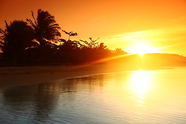 포토 JPG 해외이미지 구름 행복 포스터 모래 파도 바다 여행 백그라운드 오렌지 아프리카 자연 하늘 날씨 휴가 휴식 풍경 사람없음 물 여름 컬러풀 햇빛 태양 평화 일출 맑음 황혼 일몰 새벽 황금 야간 휴양지 석호 해외202004 해외202105 해외포토 자연요소 계절 감정 나라 컬러 컨셉 과일 노을 장소 생태계 파일형식