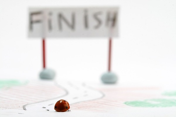 포토 JPG 해외이미지 식물 계절 행복 곤충 백그라운드 컨셉 자연 안테나 사람없음 빨간색 컬러풀 달리기 노란색 환경 정원 봄 흰색 신선 점 칼날 끝 벌레 보호 발사 허브 딱정벌레 묘사 속도 생물학 무당벌레 내추럴 고립 해외202004 해외202105 해외포토 동물 교육 감정 컬러 통신 모션 생태계 파일형식