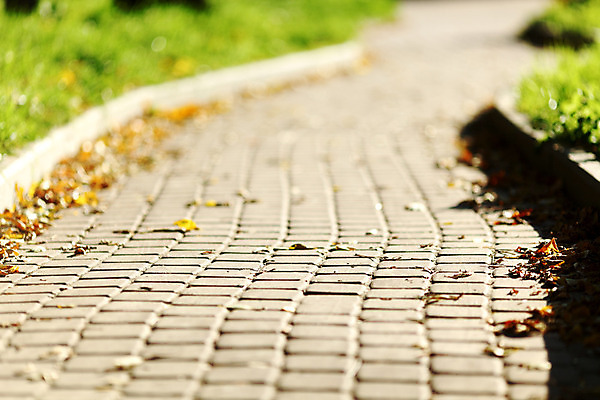 포토 JPG 해외이미지 나무 식물 계절 공원 도로 길 잎 곡선 자국 자연 안내 따뜻함 풍경 사람없음 야외 초록색 여름 빛 평화 환경 맑음 침묵 고요 봄 산책 하이킹 성장 시골 신선 숲 오솔길 방향 지역 내추럴 방법 선로 양발 해외202004 해외202105 해외포토 공공시설 선 컬러 컨셉 교통시설 레저 날씨 휴식 소리 생태계 파일형식