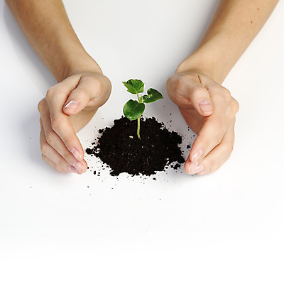 포토 JPG 해외이미지 식물 1 손 여자 꽃 지구 어린이 줄기 백그라운드 컨셉 잎 농업 자연 새로움 아이디어 손바닥 안전 사람 사람없음 초록색 빛 약 환경 흙 봄 엄지손가락 성장 흰색 보호 작음 시작 원예 먼지 팔 고립 돌봄 모종 생태학 세련 해외202004 해외202105 해외포토 계절 교육 산업 컬러 손가락 의학 모션 취미 신체부위 크기 생태계 파일형식