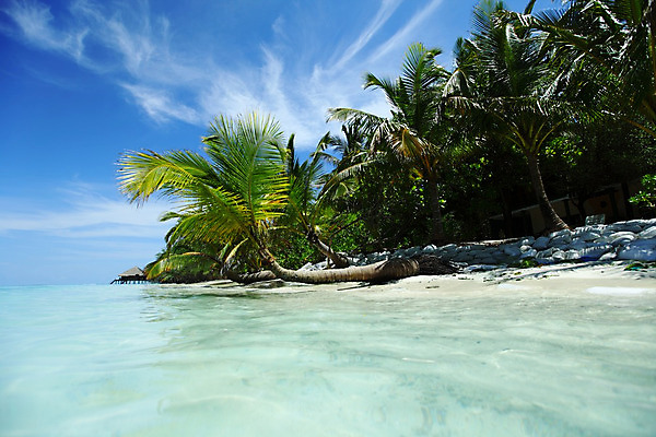 포토 JPG 해외이미지 나무 식물 구름 모래 파도 바다 섬 여행 백그라운드 잎 자연 하늘 휴가 휴식 손바닥 풍경 사람없음 야외 물 여름 파란색 태양 맑음 낭만 흰색 전원 만 휴양지 석호 몰디브 이국적 터키석 파라다이스 수평선 해외202004 해외202105 해외포토 자연요소 손 계절 아시아 컬러 컨셉 날씨 장소 전기에너지 보석 생태계 파일형식