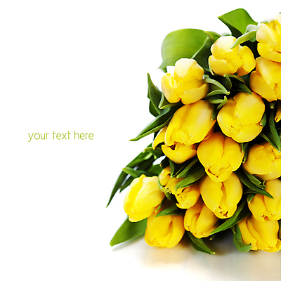 포토 JPG 해외이미지 꽃다발 실내 근접촬영 타이포그라피 사람없음 튤립 흰배경 카피스페이스 해외202004 해외포토 문자 꽃 뷰포인트 백그라운드 내부 공백 흰색 파일형식