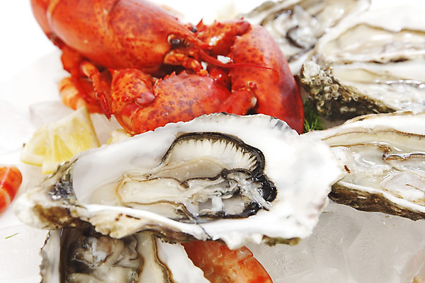 포토 JPG 해외이미지 접시 근접촬영 사람없음 얼음 굴 잡기 바닷가재 해산물 흰배경 집게발 해외202004 해외202105 해외포토 자연요소 식기 뷰포인트 백그라운드 모션 어패류 흰색 가재 파일형식