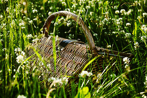 포토 JPG 해외이미지 나무 식물 1 공원 음료 음식 백그라운드 자연 유리 지팡이 넥타이 휴식 손잡이 사람없음 야외 빨간색 초록색 햇빛 태양 소풍 갈색 바구니 와인 봄 캠핑 낭만 금지 흰색 시골 직물 숲 컨테이너 담요 심볼 오브젝트 활 내추럴 해외202004 해외202105 해외포토 자연요소 잡화 계절 공공시설 산업 컬러 컨셉 재질 레저 주류 야외활동 생태계 파일형식