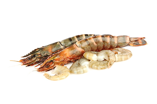 포토 JPG 해외이미지 새우 사람없음 신선 해산물 흰배경 해외202004 해외202105 해외포토 백그라운드 갑각류 흰색 파일형식