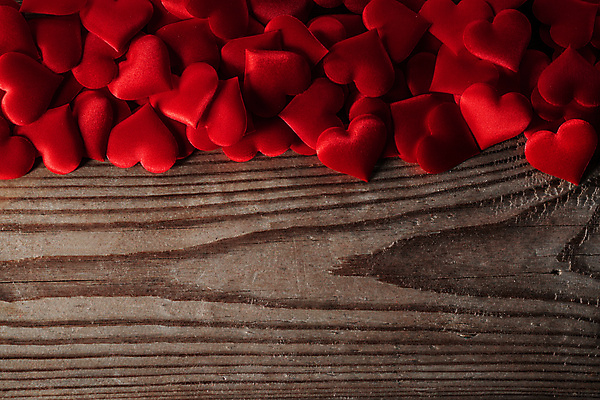 포토 JPG 해외이미지 사랑 사람없음 하트 많음 나무배경 해외202004 해외202105 해외포토 모양 감정 백그라운드 컨셉 파일형식