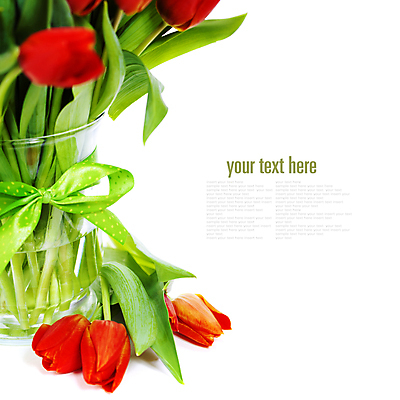 포토 JPG 해외이미지 리본 사람없음 꽃병 튤립 흰배경 카피스페이스 해외202004 해외포토 꽃 백그라운드 공백 흰색 파일형식