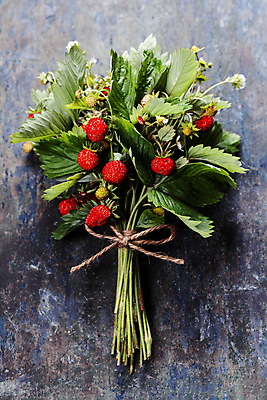 포토 JPG 해외이미지 리본 꽃다발 실내 사람없음 나무바닥 산딸기 노끈 해외202004 해외포토 꽃 줄 과일 바닥 내부 파일형식