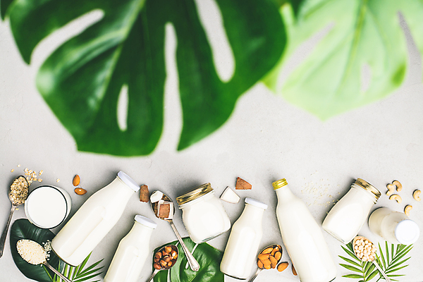 포토 JPG 해외이미지 접시 잎 실내 사람없음 숟가락 우유 견과류 우유병 흰배경 호두 코코넛 아몬드 대두 귀리 해외202004 해외포토 식물 식기 백그라운드 과일 병_용기 유제품 곡류 수저 내부 흰색 파일형식