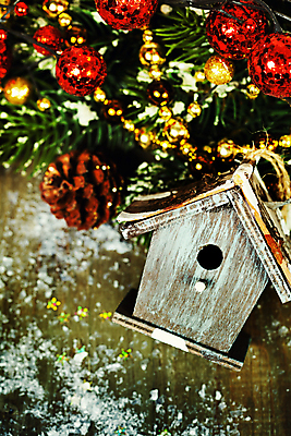 포토 JPG 해외이미지 크리스마스장식 크리스마스 사람없음 하이앵글 눈 솔방울 새장 나무탁자 오너먼트 해외202004 해외포토 자연요소 기념일 뷰포인트 탁자 날씨 케이지 파일형식