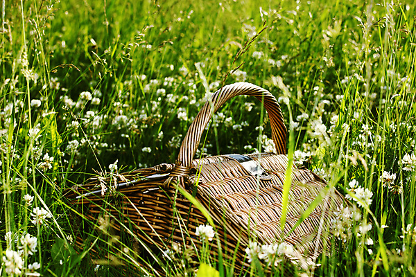 포토 JPG 해외이미지 나무 식물 1 공원 음료 음식 백그라운드 자연 유리 지팡이 넥타이 휴식 손잡이 사람없음 야외 빨간색 초록색 햇빛 태양 소풍 갈색 바구니 와인 봄 캠핑 낭만 금지 흰색 시골 직물 숲 컨테이너 담요 심볼 오브젝트 활 내추럴 해외202004 해외202105 해외포토 자연요소 잡화 계절 공공시설 산업 컬러 컨셉 재질 레저 주류 야외활동 생태계 파일형식