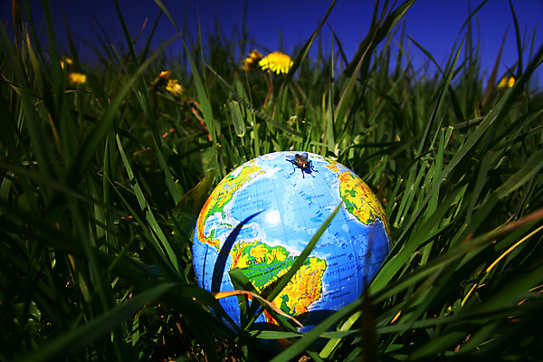 포토 JPG 해외이미지 행복 지구 여행 컨셉 공 자연 놀이 하늘 아이디어 사람없음 빛 세계 글로벌 장난감 햇빛 태양 지구본 환경 맑음 재활용 행성 자유 시간 절약 오염 플라스틱 심볼 복지 에코 긍정 풍선 자원 산소 유지 무료 생태학 오존 해외202004 해외202105 해외포토 자연요소 교육 감정 재질 날씨 우주 원소 사회이슈 친환경 생태계 파일형식