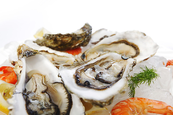 포토 JPG 해외이미지 식재료 새우 실내 근접촬영 사람없음 아웃포커스 얼음 굴 신선 레몬 흰배경 해외202004 해외202105 해외포토 자연요소 뷰포인트 백그라운드 과일 어패류 촬영기법 갑각류 내부 흰색 파일형식