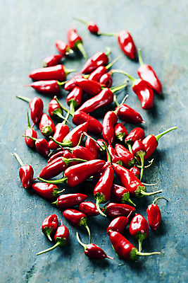 포토 JPG 해외이미지 식재료 사람없음 매움 파란배경 홍고추 해외202004 해외포토 백그라운드 고추 파란색 맛 파일형식