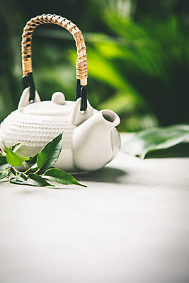 포토 JPG 해외이미지 잎 실내 사람없음 도자기 차 찻주전자 해외202004 해외포토 식물 음료 주전자 내부 파일형식