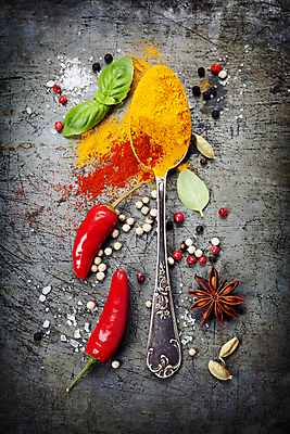 포토 JPG 해외이미지 식재료 회색배경 사람없음 하이앵글 숟가락 두개 향신료 매움 홍고추 소금 바질 고춧가루 해외202004 팔각회향 해외포토 뷰포인트 백그라운드 2 고추 수저 회색 맛 가루 향미료 파일형식