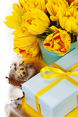 포토 JPG 해외이미지 화분 꽃다발 부활절 실내 근접촬영 사람없음 선물상자 튤립 껍질 둥지 흰배경 메추리알 해외202004 해외포토 기념일 꽃 뷰포인트 백그라운드 선물 내부 상자 알 흰색 파일형식