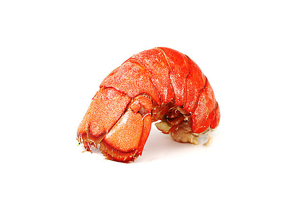 포토 JPG 해외이미지 사람없음 신선 바닷가재 해산물 흰배경 꼬리 해외202004 해외202105 해외포토 백그라운드 흰색 가재 파일형식