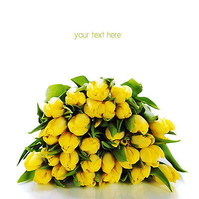 포토 JPG 해외이미지 꽃다발 실내 타이포그라피 사람없음 쌓기 튤립 흰배경 카피스페이스 해외202004 해외포토 문자 꽃 백그라운드 모션 내부 공백 흰색 파일형식