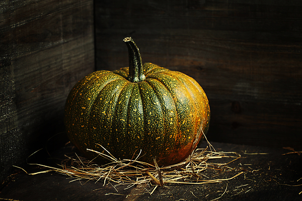 포토 JPG 해외이미지 호박 검은배경 실내 사람없음 농작물 한개 가을 볏짚 해외202004 해외포토 1 계절 백그라운드 농업 채소 내부 검은색 짚 파일형식