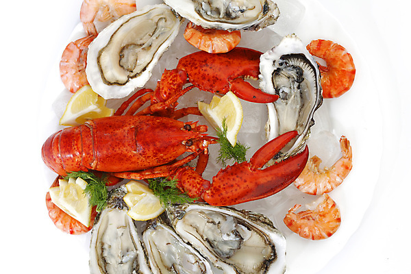 포토 JPG 해외이미지 접시 새우 사람없음 얼음 굴 잡기 바닷가재 레몬 해산물 흰배경 집게발 해외202004 해외202105 해외포토 자연요소 식기 백그라운드 과일 모션 어패류 갑각류 흰색 가재 파일형식